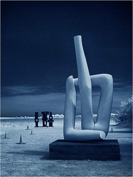 David Robinson - Blue!.jpg